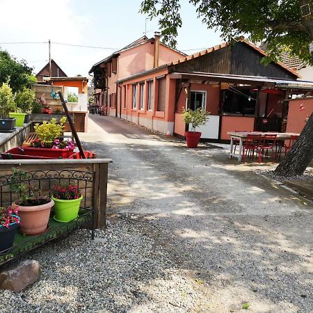 Gites & Camping On The Route Des Vins Берґайм Екстер'єр фото